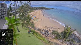 wailea web cam|Webcam